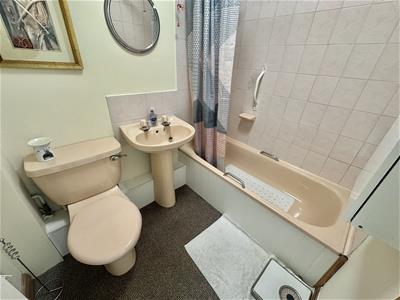 Picture 8